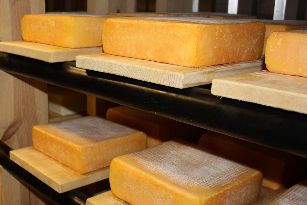 Nicasio Square organic farmstead cheese